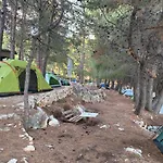 Pine Side Camp