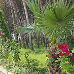 Oasis Apartment