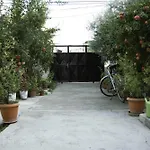 Old Olive