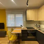 Central Modern Apartment
