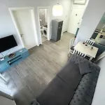Dolphin 513