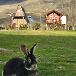 Life On The Farm