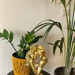 Hira Apartment