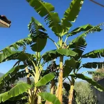 3 Bedrooms Holiday Home With Sea View