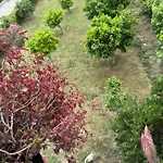 Room With Garden View