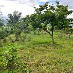 Appartamenti Vacanze Vicino Tirana