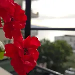 Valza Boutique Hotel