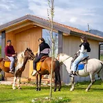 Fishta Guesthouse - Mrizi I Zanave