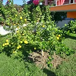 Villa Orange