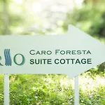 Caro Foresta 北軽井沢 Rio