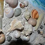 Seashell Art Decor Studio Modern,Cosy,Parking