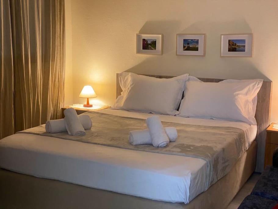 Dani Two Bedroom In Center Of Appartement Tirana