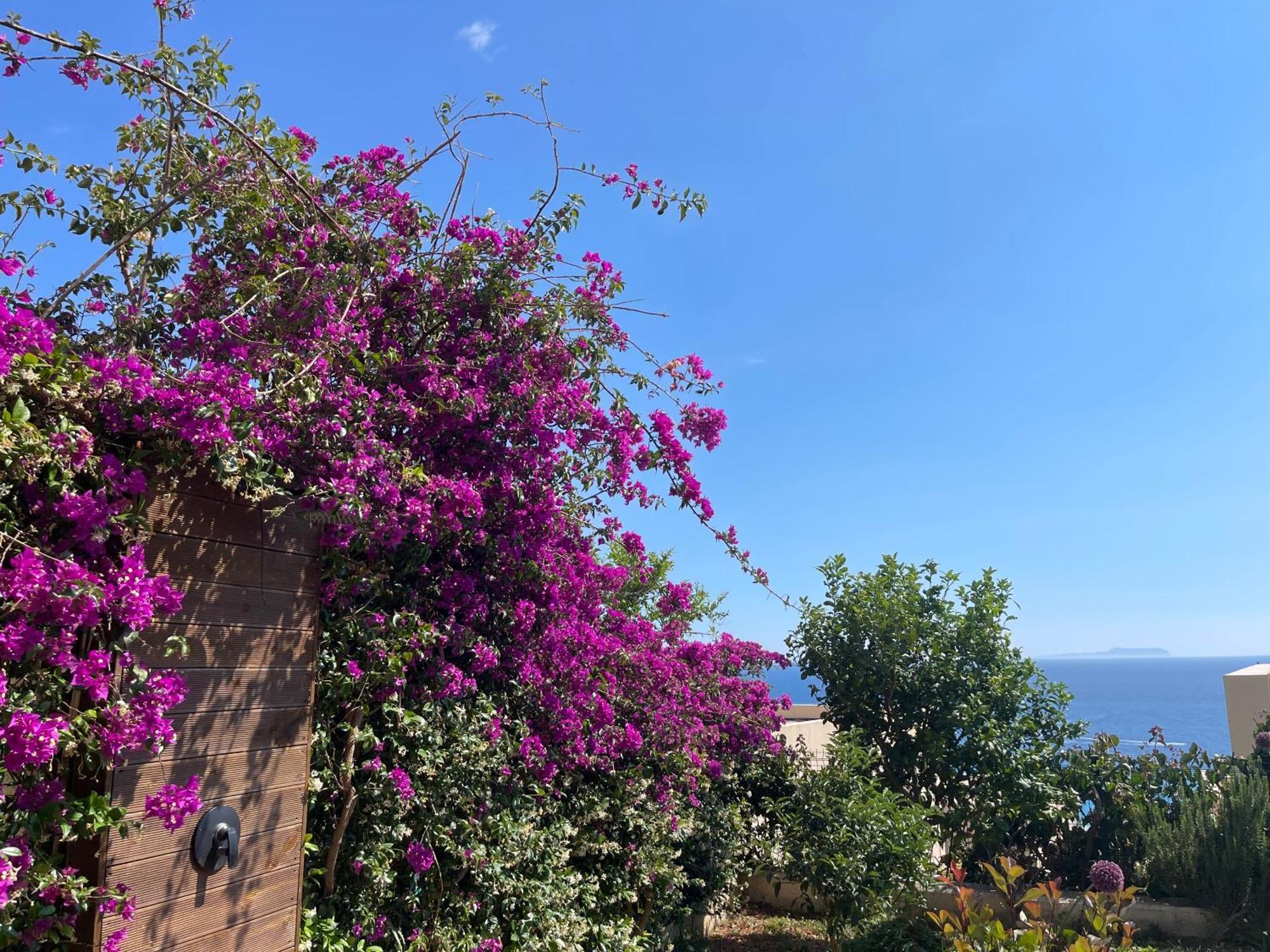 Coast 136 Holiday home Dhermi