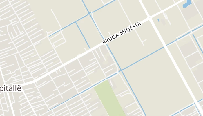 Térkép