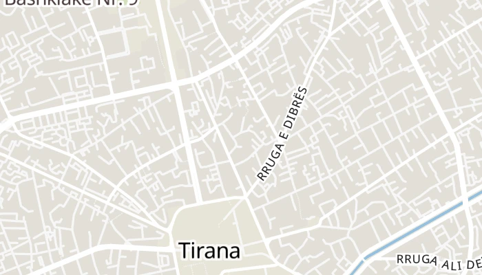 Térkép